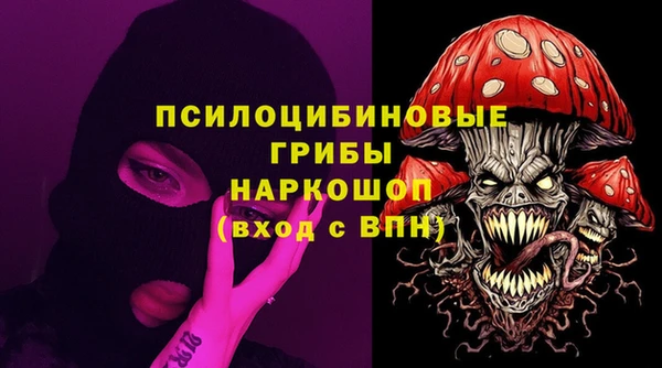 марки lsd Инсар