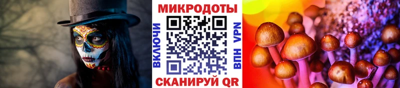 Купить где  Мариинск  Галлюциногенные грибы Magic Shrooms 